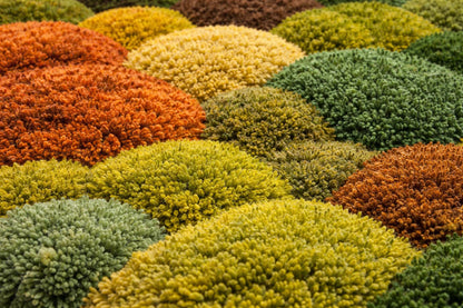 Hand Tufted Moss Rug | 3D Wool Rug | Green Abstract Rug | Luxury Handmade Area Rug | Organic Modern Rug | Thick Pile carpet | Custom Size